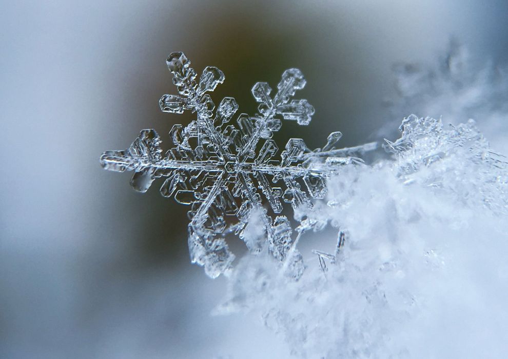 BOLLWERK Potsdam Winterdienst