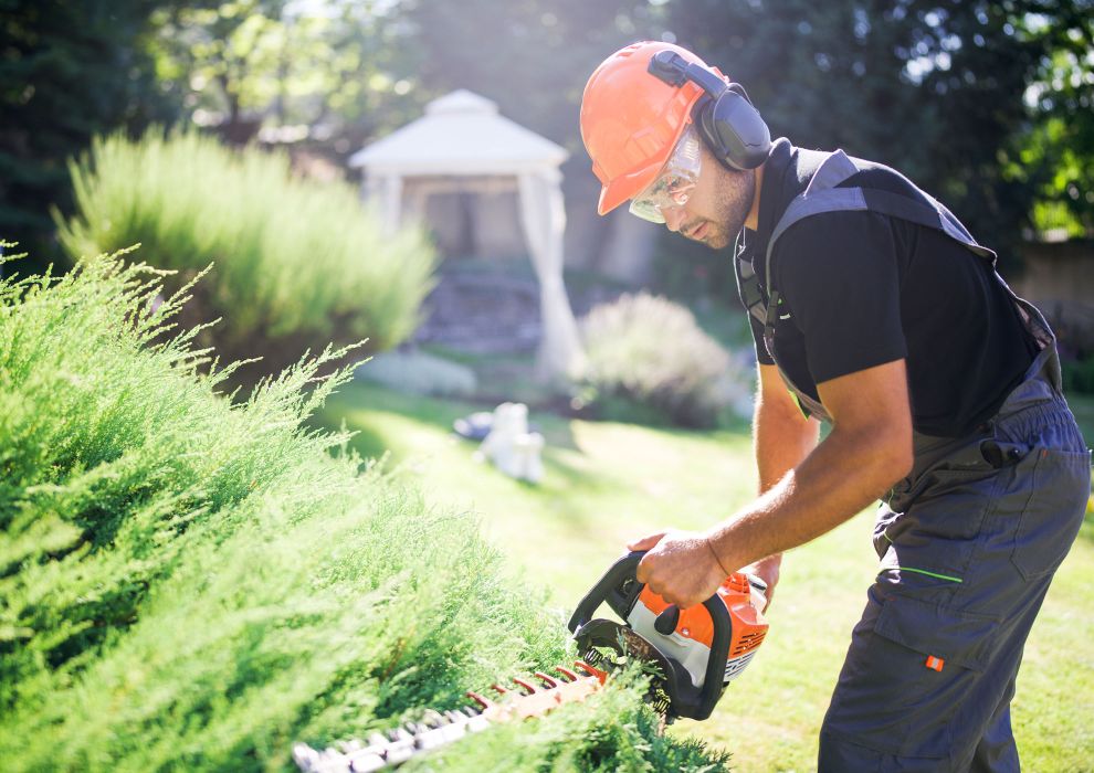 BOLLWERK Potsdam Grünflächen-Pflege